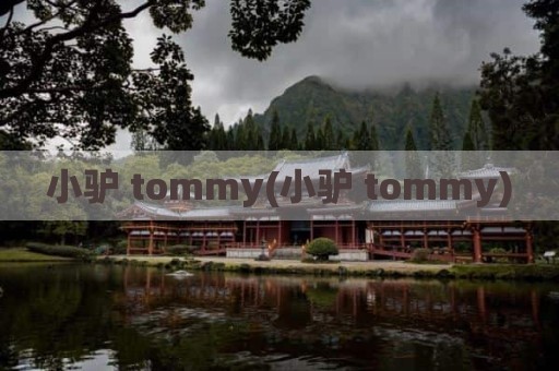 小驴 tommy(小驴 tommy)