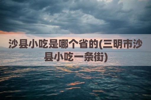 沙县小吃是哪个省的(三明市沙县小吃一条街)
