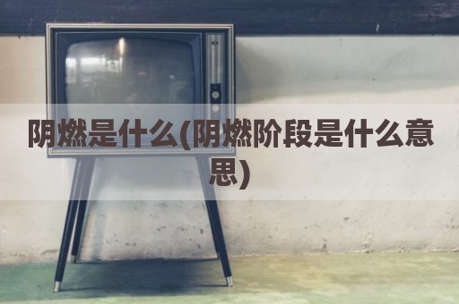 阴燃是什么(阴燃阶段是什么意思)