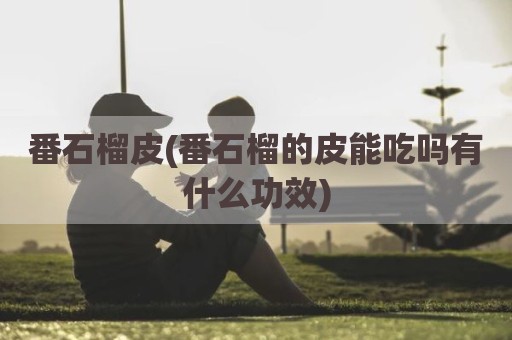 番石榴皮(番石榴的皮能吃吗有什么功效)