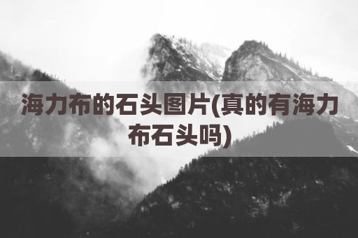 海力布的石头图片(真的有海力布石头吗)