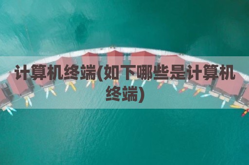 计算机终端(如下哪些是计算机终端)