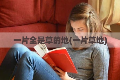 一片全是草的地(一片草地)