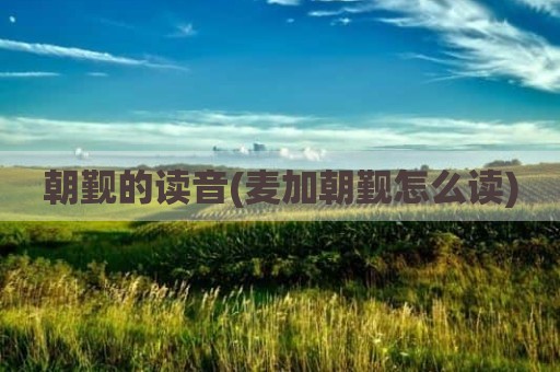 朝觐的读音(麦加朝觐怎么读)