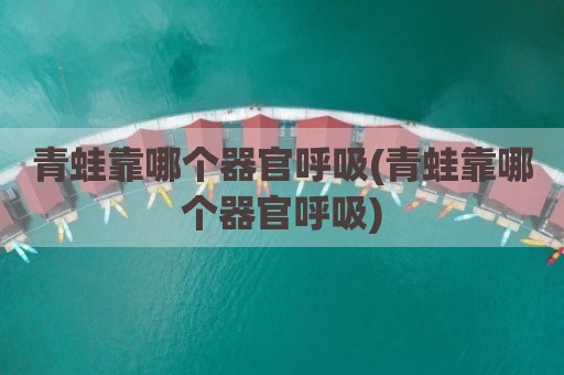 青蛙靠哪个器官呼吸(青蛙靠哪个器官呼吸)