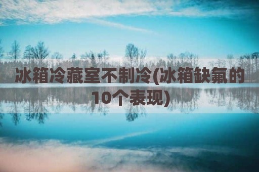 冰箱冷藏室不制冷(冰箱缺氟的10个表现)