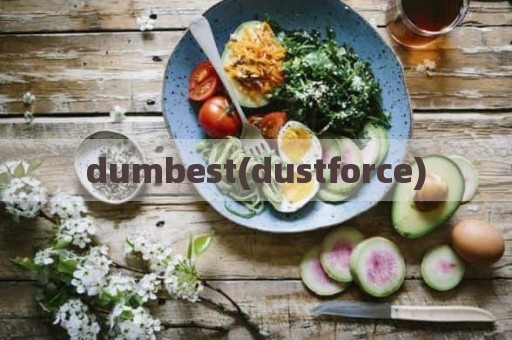 dumbest(dustforce)