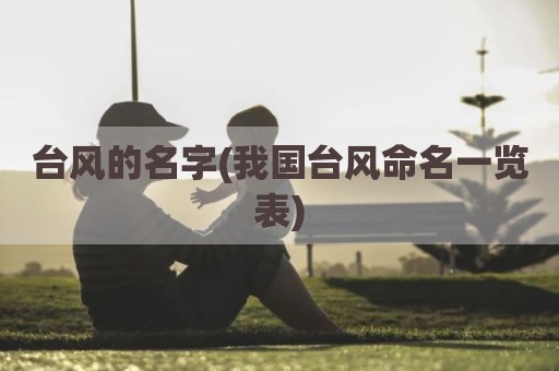台风的名字(我国台风命名一览表)