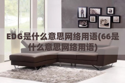 EDG是什么意思网络用语(66是什么意思网络用语)