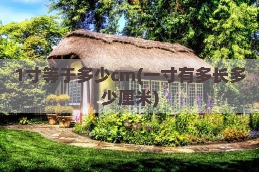 1寸等于多少cm(一寸有多长多少厘米)