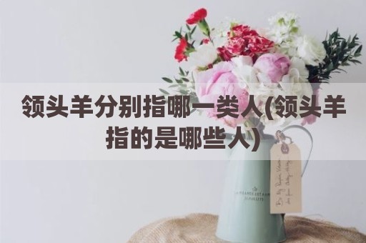 领头羊分别指哪一类人(领头羊指的是哪些人)