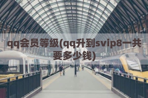 qq会员等级(qq升到svip8一共要多少钱)