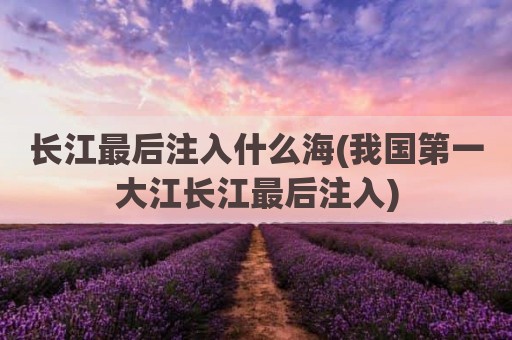 长江最后注入什么海(我国第一大江长江最后注入)