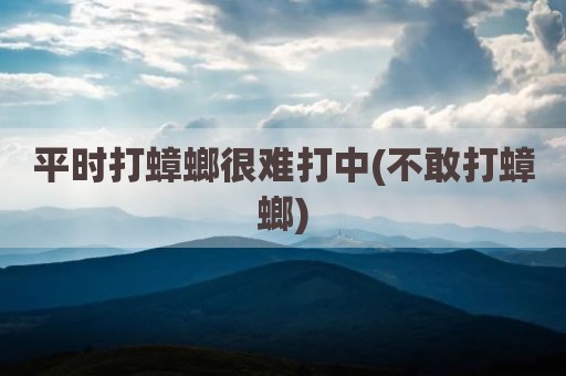 平时打蟑螂很难打中(不敢打蟑螂)