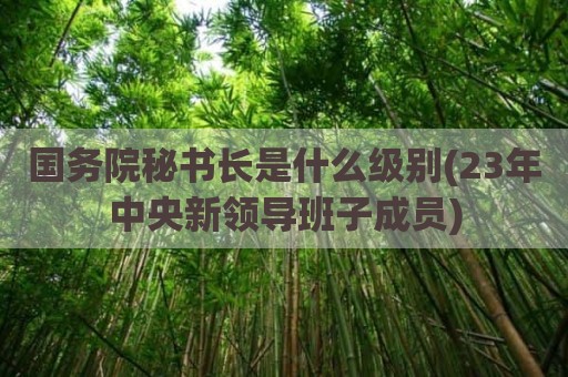 国务院秘书长是什么级别(23年中央新领导班子成员)