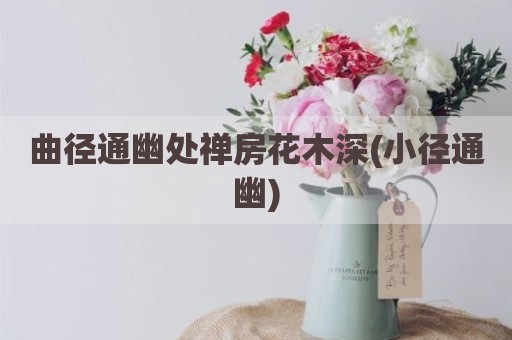 曲径通幽处禅房花木深(小径通幽)