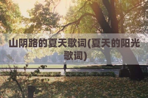 山阴路的夏天歌词(夏天的阳光 歌词)
