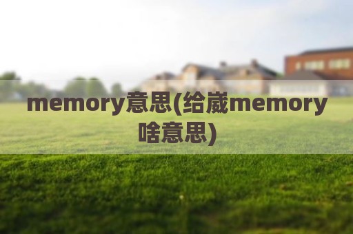 memory意思(给崴memory啥意思)