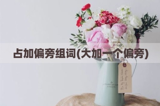 占加偏旁组词(大加一个偏旁)