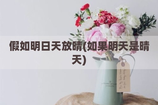 假如明日天放晴(如果明天是晴天)