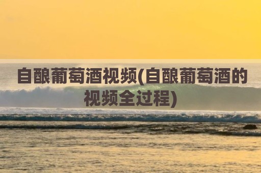 自酿葡萄酒视频(自酿葡萄酒的视频全过程)