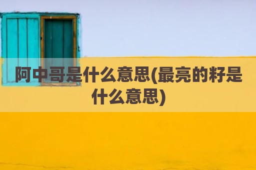 阿中哥是什么意思(最亮的籽是什么意思)