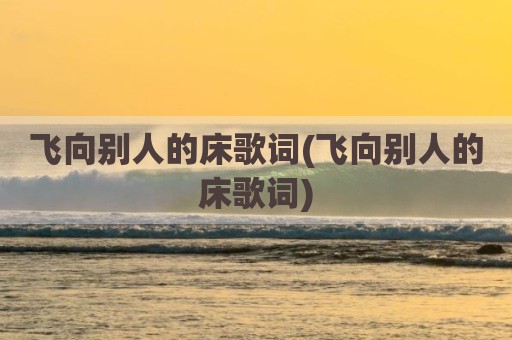 飞向别人的床歌词(飞向别人的床歌词)