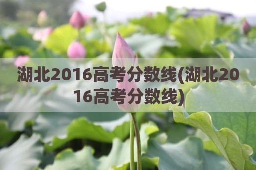 湖北2016高考分数线(湖北2016高考分数线)