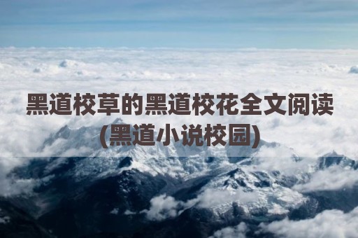 黑道校草的黑道校花全文阅读(黑道小说校园)