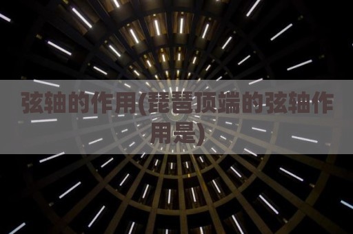 弦轴的作用(琵琶顶端的弦轴作用是)