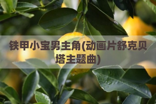 铁甲小宝男主角(动画片舒克贝塔主题曲)