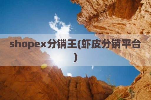 shopex分销王(虾皮分销平台)