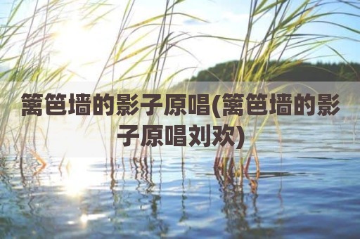 篱笆墙的影子原唱(篱笆墙的影子原唱刘欢)