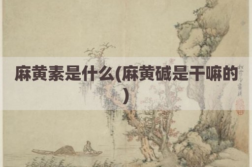 麻黄素是什么(麻黄碱是干嘛的)