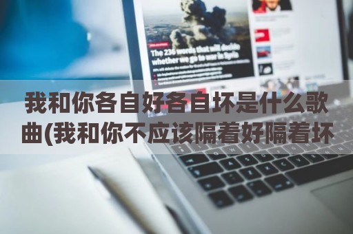 我和你各自好各自坏是什么歌曲(我和你不应该隔着好隔着坏)