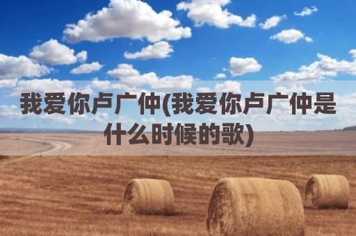 我爱你卢广仲(我爱你卢广仲是什么时候的歌)