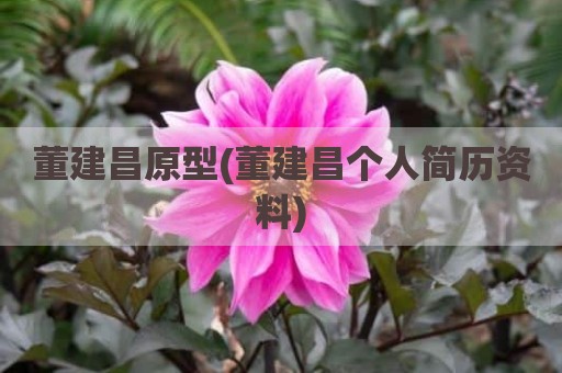 董建昌原型(董建昌个人简历资料)