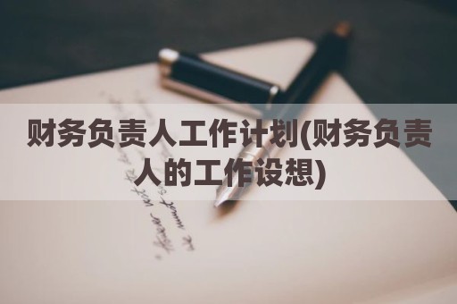 财务负责人工作计划(财务负责人的工作设想)