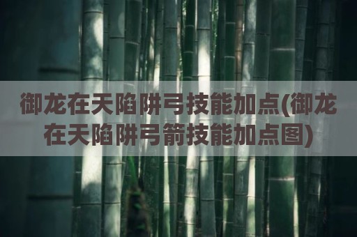 御龙在天陷阱弓技能加点(御龙在天陷阱弓箭技能加点图)