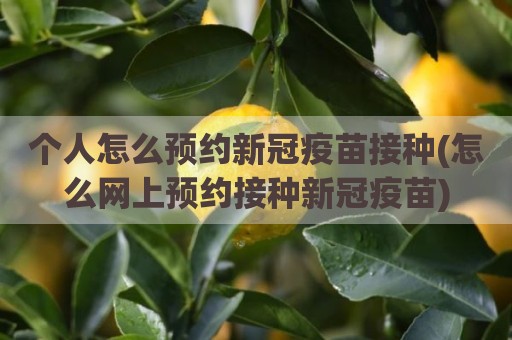 个人怎么预约新冠疫苗接种(怎么网上预约接种新冠疫苗)