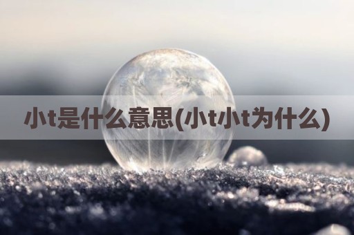 小t是什么意思(小t小t为什么)