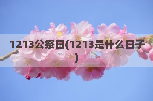 1213公祭日(1213是什么日子)