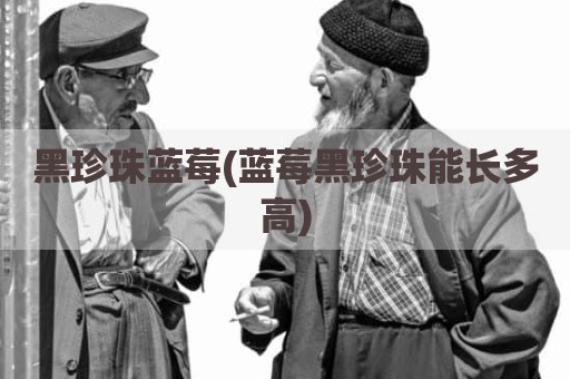 黑珍珠蓝莓(蓝莓黑珍珠能长多高)