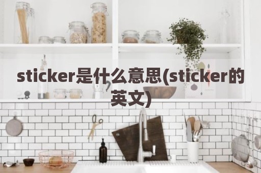 sticker是什么意思(sticker的英文)