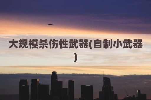 大规模杀伤性武器(自制小武器)