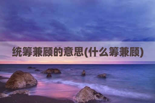 统筹兼顾的意思(什么筹兼顾)