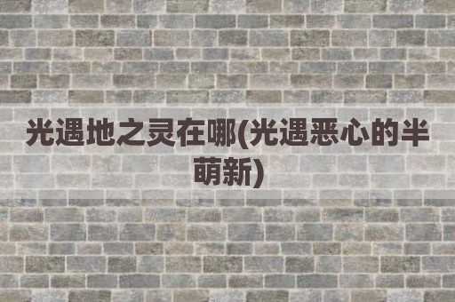 光遇地之灵在哪(光遇恶心的半萌新)