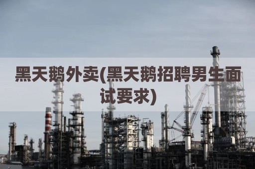 黑天鹅外卖(黑天鹅招聘男生面试要求)