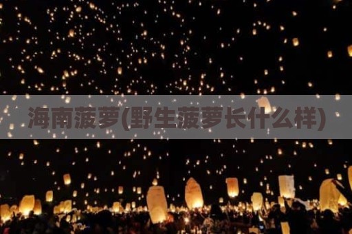 海南菠萝(野生菠萝长什么样)