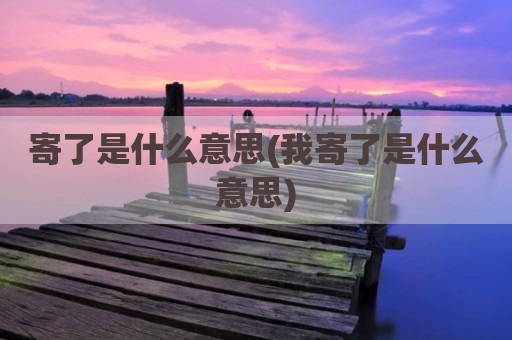 寄了是什么意思(我寄了是什么意思)